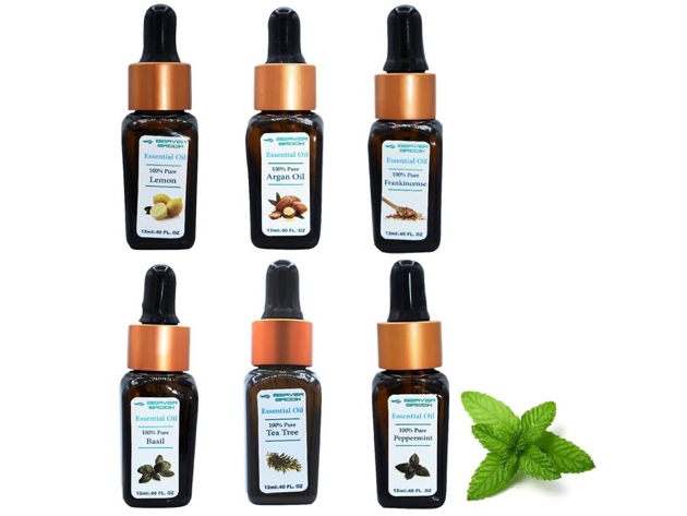 Beaver Brook Botanical Set Essential Oil Bottle Dropper - 6 Pack