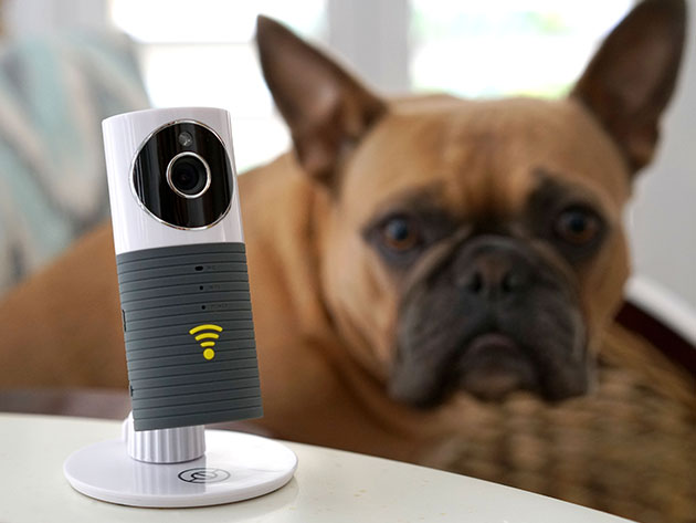 sinji smart wifi camera app