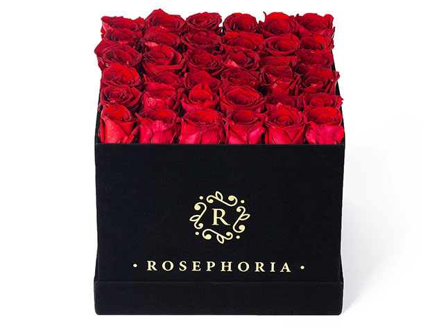 36 Red Roses in Black Velvet Box 