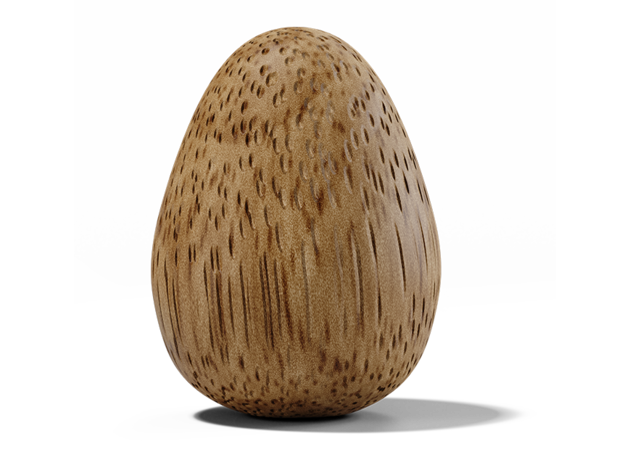 Thinking Egg (Bamboo/Concentration)
