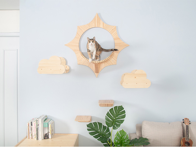MyZoo Solar: Wall Mounted Cat Shelves