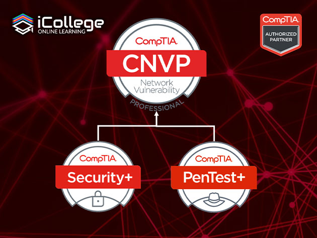 The CompTIA Network Vulnerability Assessment Professional Bundle