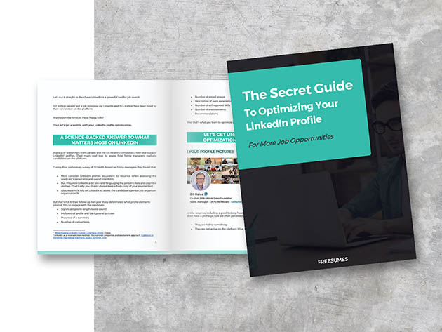 The Freesumes Ultimate Job Search Asset Bundle: Microsoft Word Resume & Cover Letter Templates