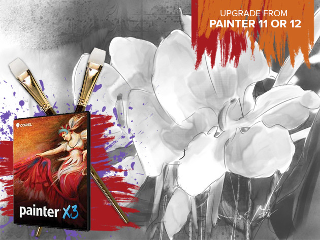 Become A Digital Artist With Painter X3 (Upgrade From Painter 11 + 12)