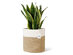 Potey 12"x12" Woven Cotton Rope Plant Basket