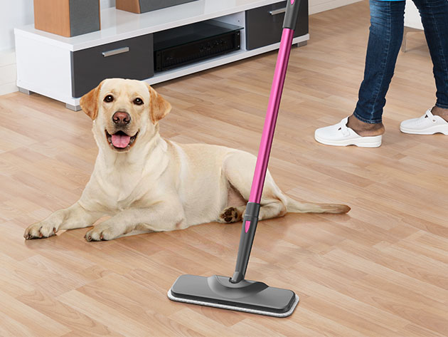 Schenley Hestia Steam Mop