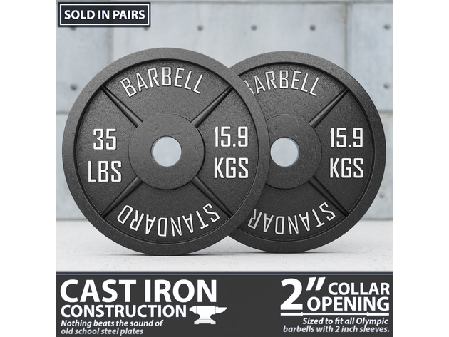 Synergee Standard Metal Weight Plates - Thirty Five Pound Plate - Pair