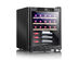 Costway 21 Bottle Compressor Wine Cooler Refrigerator w/ Digital Control Black