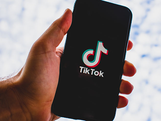 TikTok Marketing 2020: Grow Your Account & Master TikTok Ads
