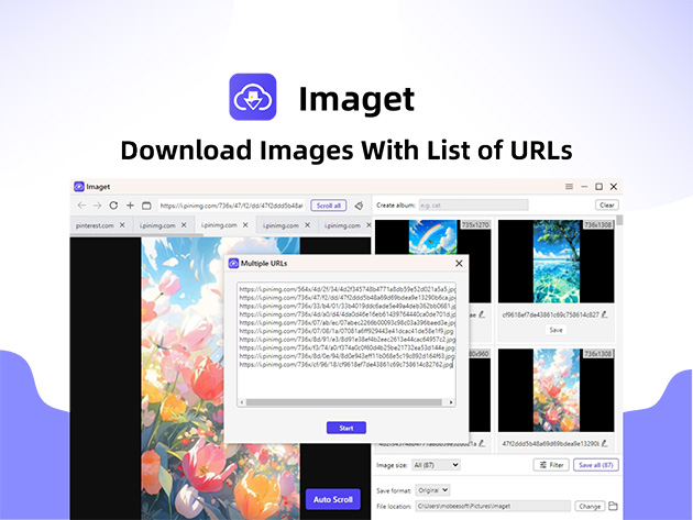 Imaget Bulk Image Downloader for Desktop Only: Lifetime Plan (5 Devices)