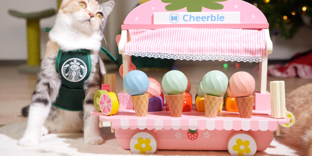 Cheerble Ice Cream Ball Smart Interactive Cat Toy for Indoor Cats & Kittens