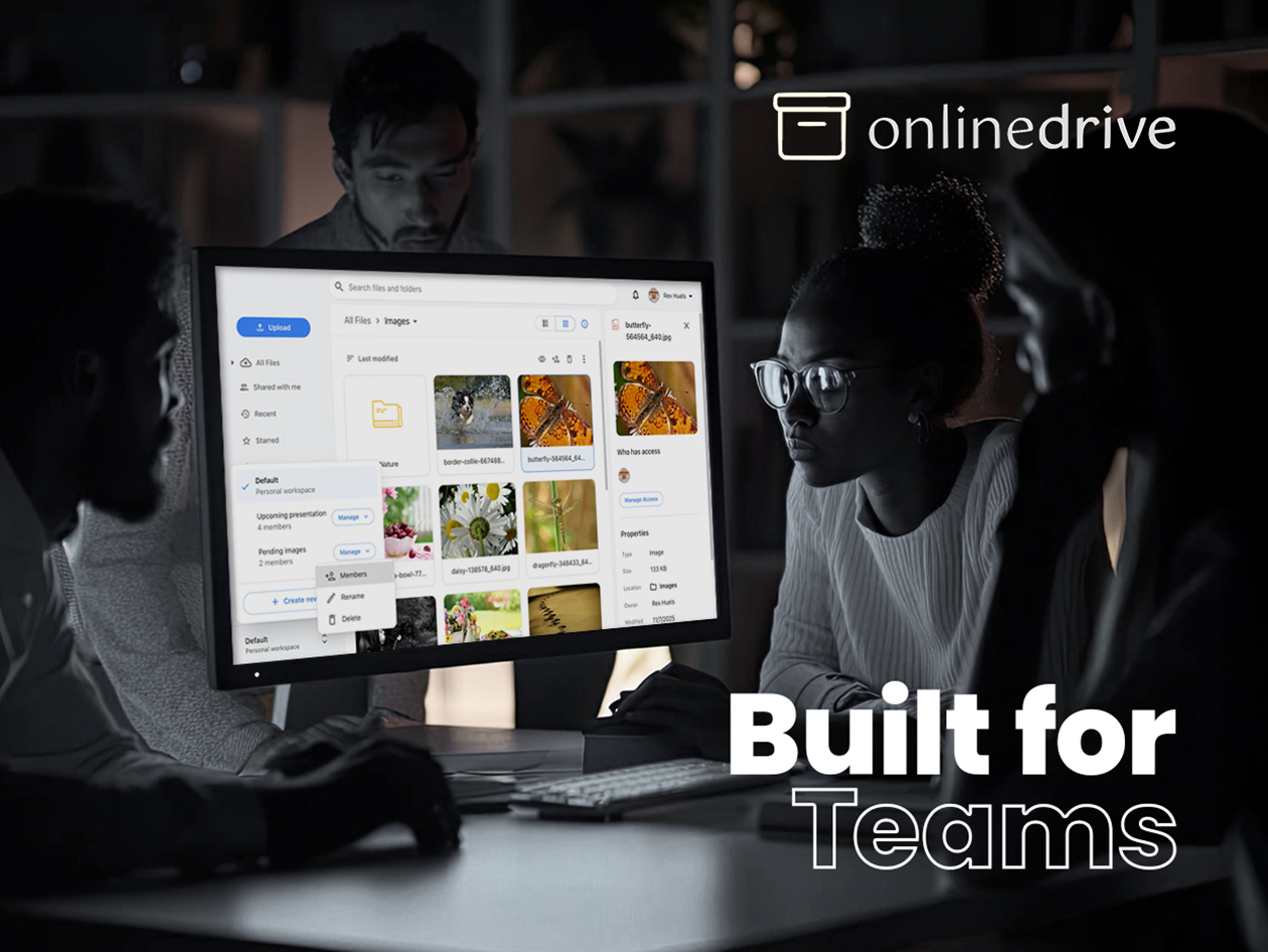 OnlineDrive Cloud Storage: Lifetime Subscription