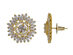 Brass Alloy Oval Baguette Cubic Zirconia Stud Earrings (Gold)