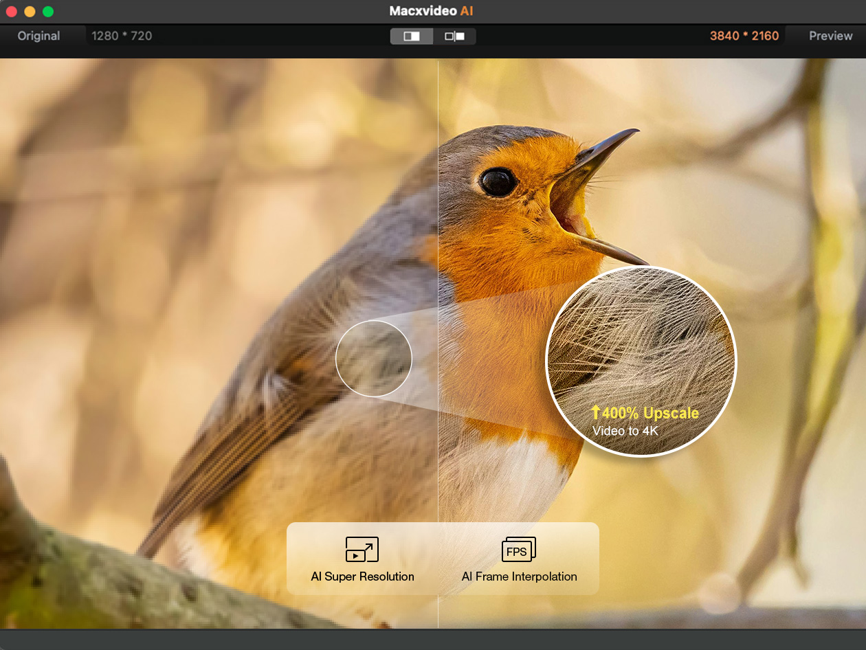 Macxvideo AI: Lifetime Subscription (5 Macs)