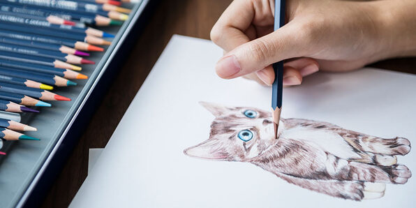 Drawing Animals Using Pastel Pencils - Product Image