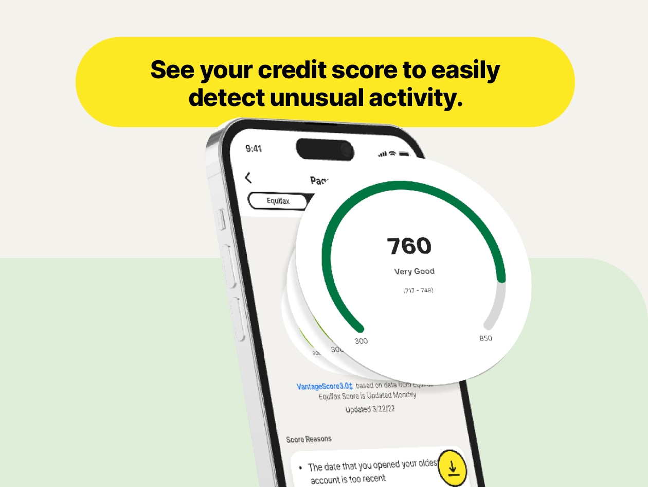 LifeLock Core Identity Theft Protection - 1 Adult - 15 Month Subscription
