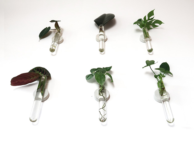 Iron & Spout Wall-Mounted Magnetic Propagation Set (Set of 9)