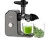 WHALL ZM151 Slow Masticating Juicer for Vegetables and Fruits with Quiet Motor & Reverse Function (Open Box)