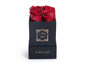 Black Box/Red Roses