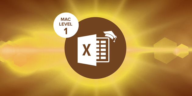 Excel 2016 Mac Level 1