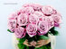 2 Dozen Mixed Color Roses with Free Shipping