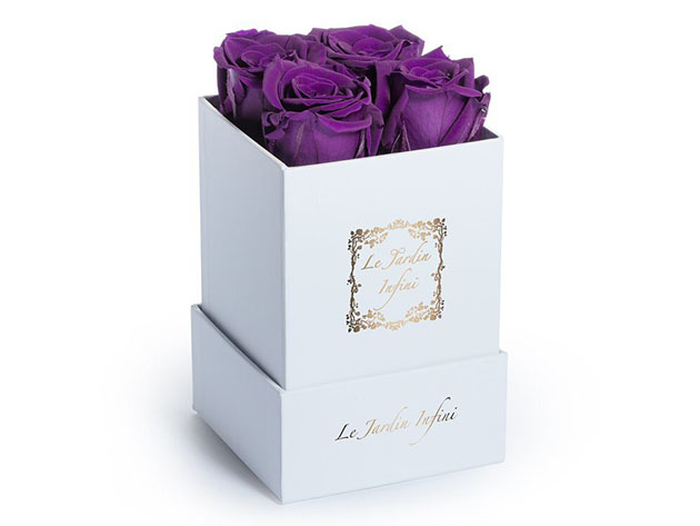 Preserved Roses in Small Square Classic White Box (Purple Roses)