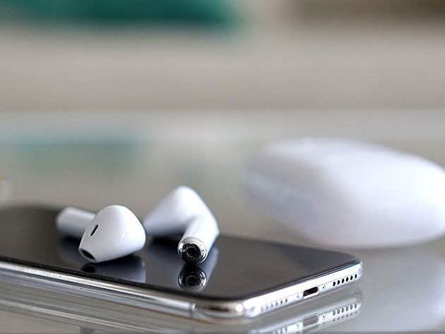 Air Bud Wireless Bluetooth Earbuds