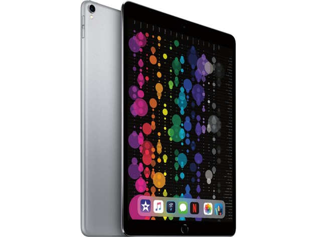Apple iPad Pro 10.5in (Wi-Fi Only), 256GB, Space Gray (Certified Refurbished)