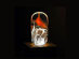 Eco-Friendly LED Light Bulb (Tango)