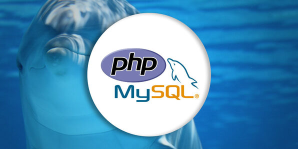 The Complete PHP MySQL Professional Course - Product Image