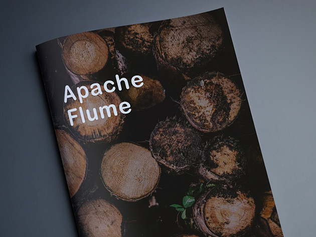 Apache Flume: Distributed Log Collection for Hadoop: Second Edition eBook