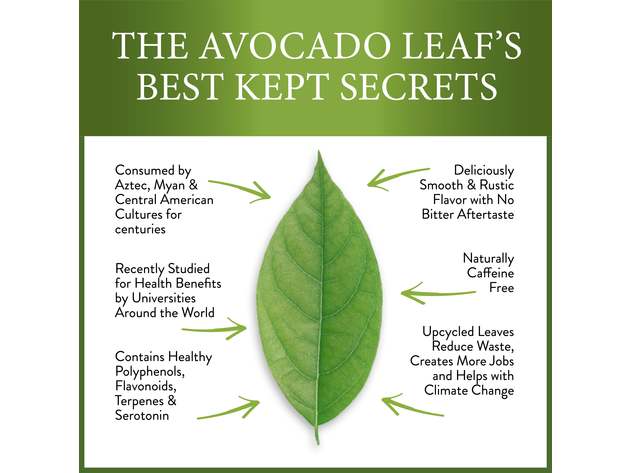 Avocado Leaf Tea Natural Leaf