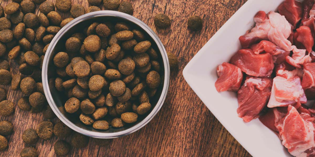 BARF: Feed Your Dog a Raw Diet
