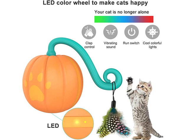 Interactive Cat Toy with LED Light (Orange)