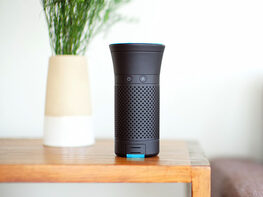 Wynd Plus: Smart Personal Air Purifier with Air Quality Sensor (Black)