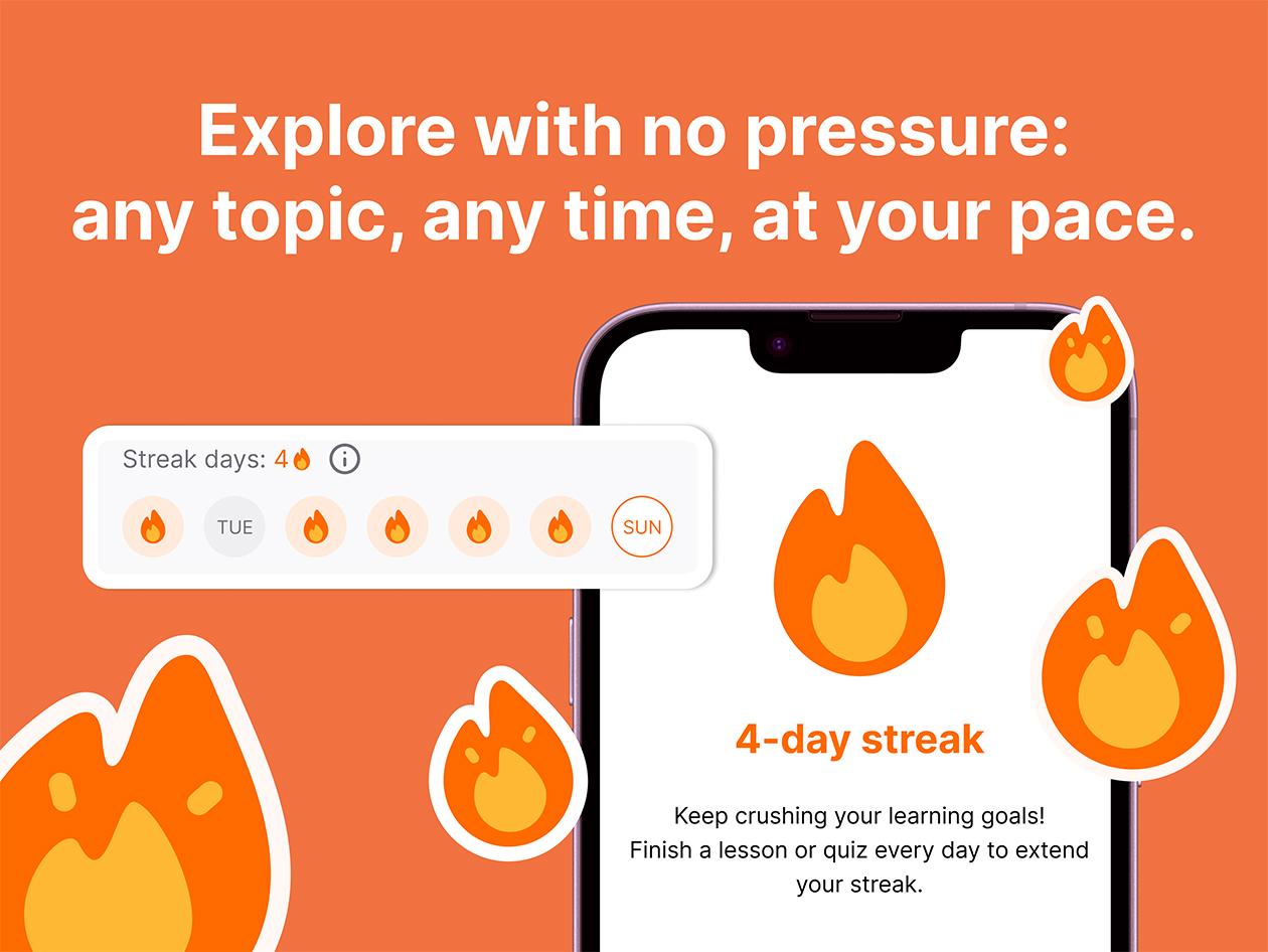 Nibble All-Around Knowledge App (5-Yr Subscription)