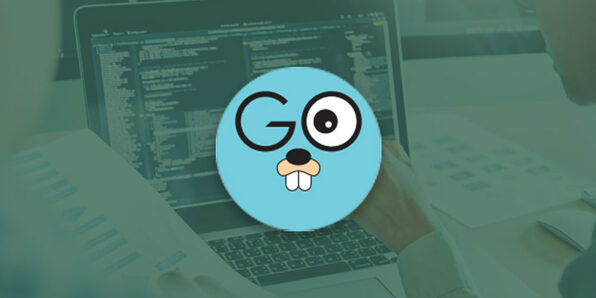 Learn How To Code: Google's Go Programming Language - Product Image