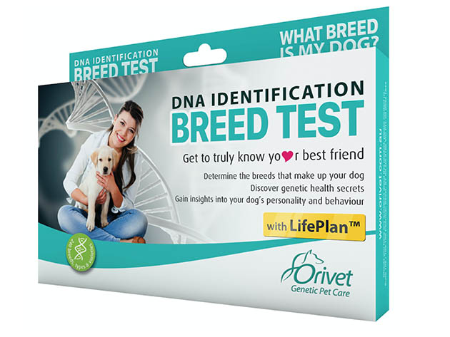 Breed Identification, Life Plan, & More — Know Your Pet Better with This Easy, Painless DNA Test Kit