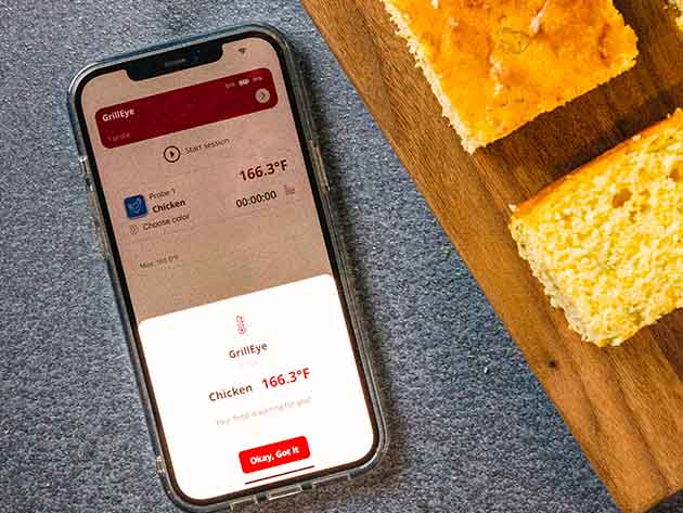 GrillEye® Max Smart Wi-Fi Enabled Wired Instant-Read Thermometer