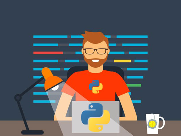 Python for Programmers | StackSocial