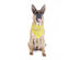 2 Pack Paisley Polyester Pets Dogs Bandana Triangle Shape  - Oversized - Yellow