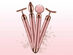 Beauty Bar 4-in-1 Rose Quartz Face Massager Kit