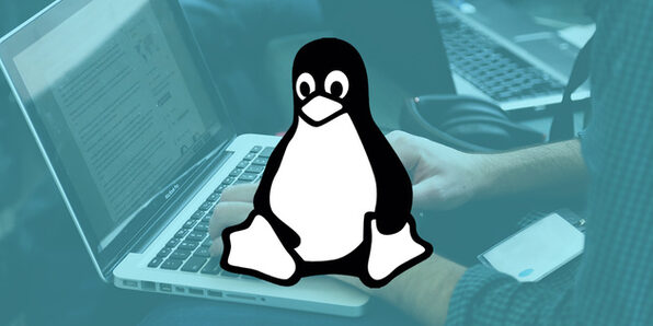 Linux Command Line Essentials: Become a Linux Power User! - Product Image