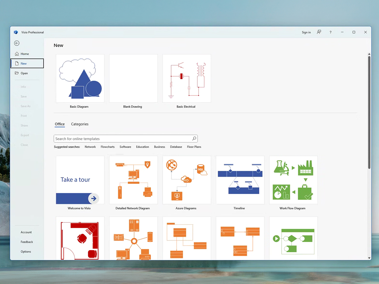 Microsoft Visio Professional 2024: Lifetime License for Windows