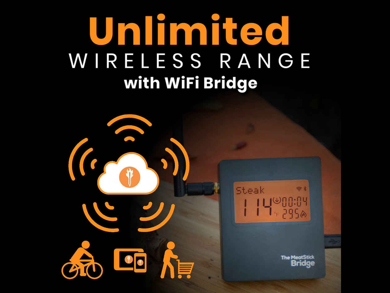 MeatStick X WiFi Travel Kit