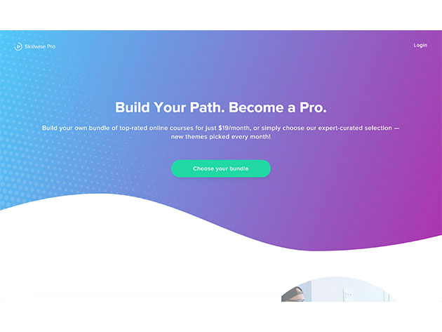 Skillwise Pro: Build Your Own Monthly eLearning Bundle