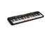 Casio LKS250 tone LK-S250 Lighted 61-Key Digital Keyboard Black
