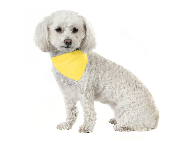 3 Pack Solid Cotton Dog Bandana Triangle Bibs  - Small & Medium Pets - Yellow