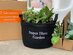 Outdoor Container Garden Kits with Tools (Super Hero)
