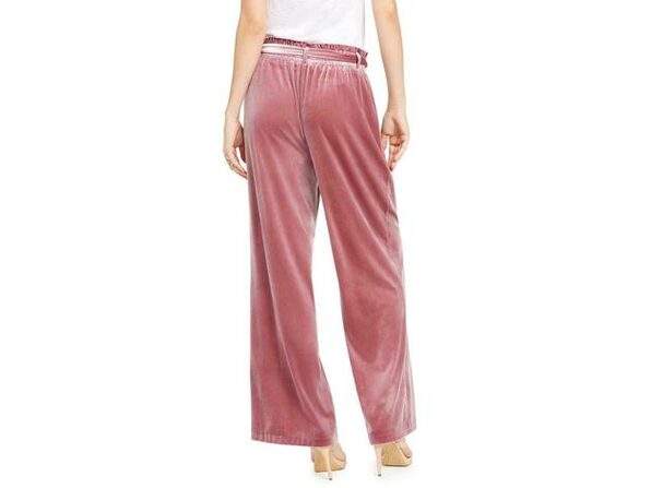 inc velvet pants